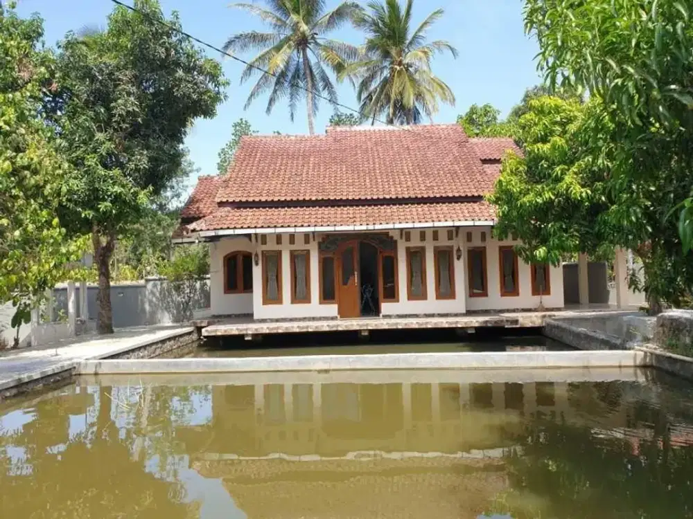 Dijual Rumah + Tanah Luas 1.700 M² di Kuningan - Harga Menarik Ada Balong Ikan Luas