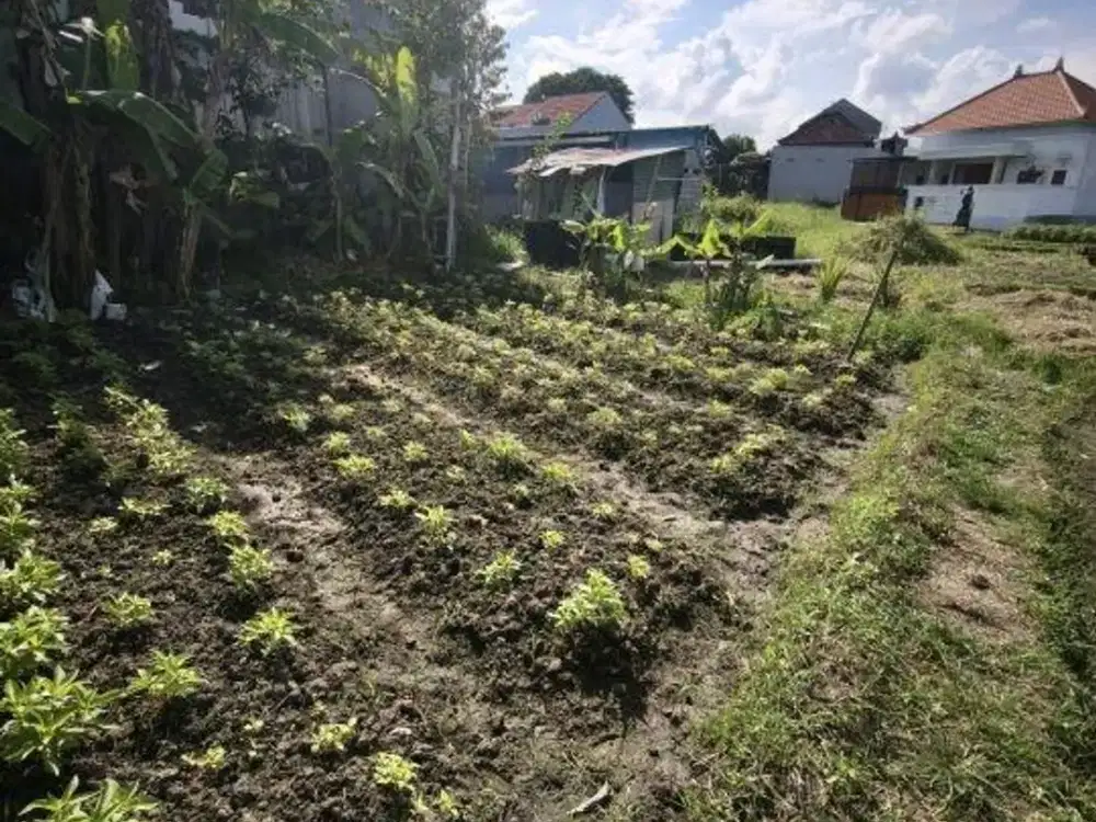 Tanah 2 Are Zona Kuning di Lukluk View Sawah