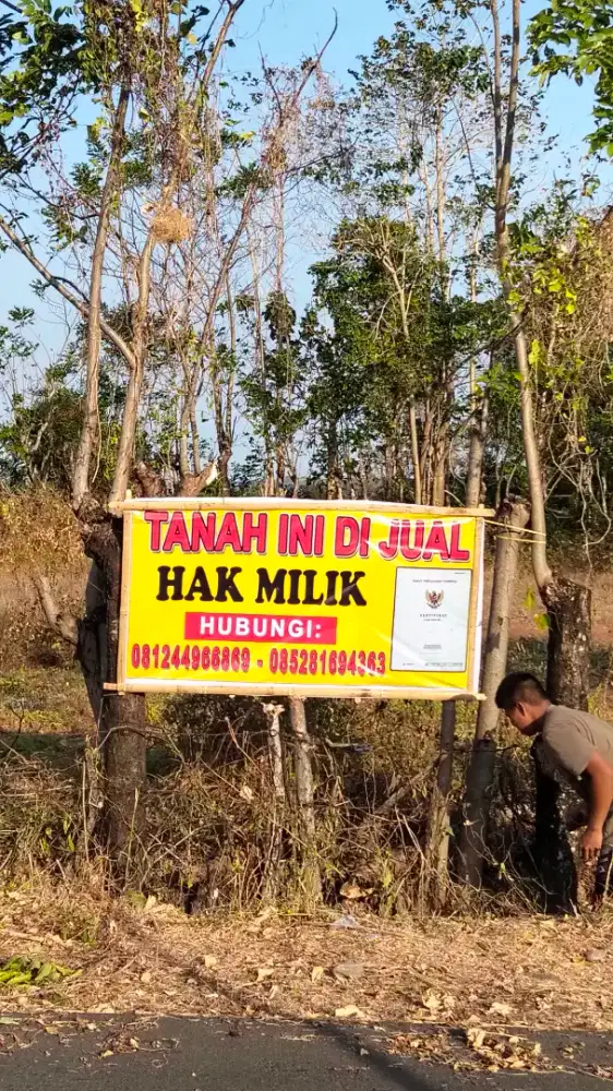 Tanah SHM 1,46 Ha 500 M dari Jalan Provinsi Jeneponto