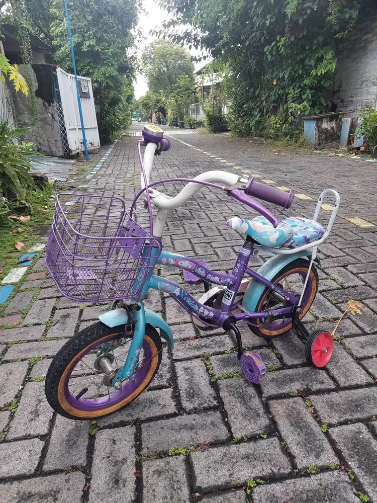 Sepeda Anak 3-5 tahun