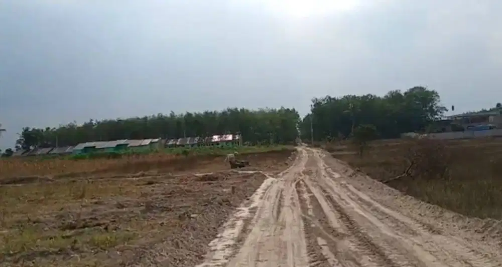 TANAH TER MURAH KAMPUS ITERA DIBELAKANG POM BENSIN