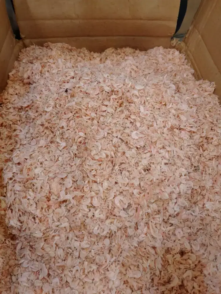 Ikan asin teri medan