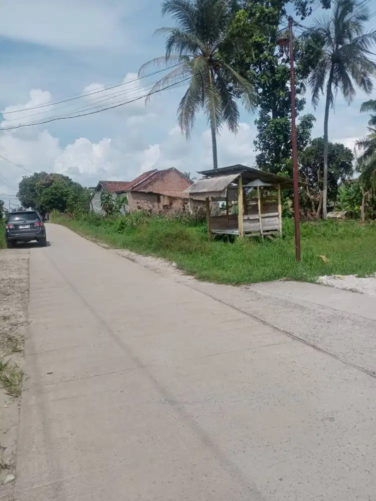TANAH JATIMULYO DIPINGGIR JALAN UTAMA COR BETON DIJUAL MURAH