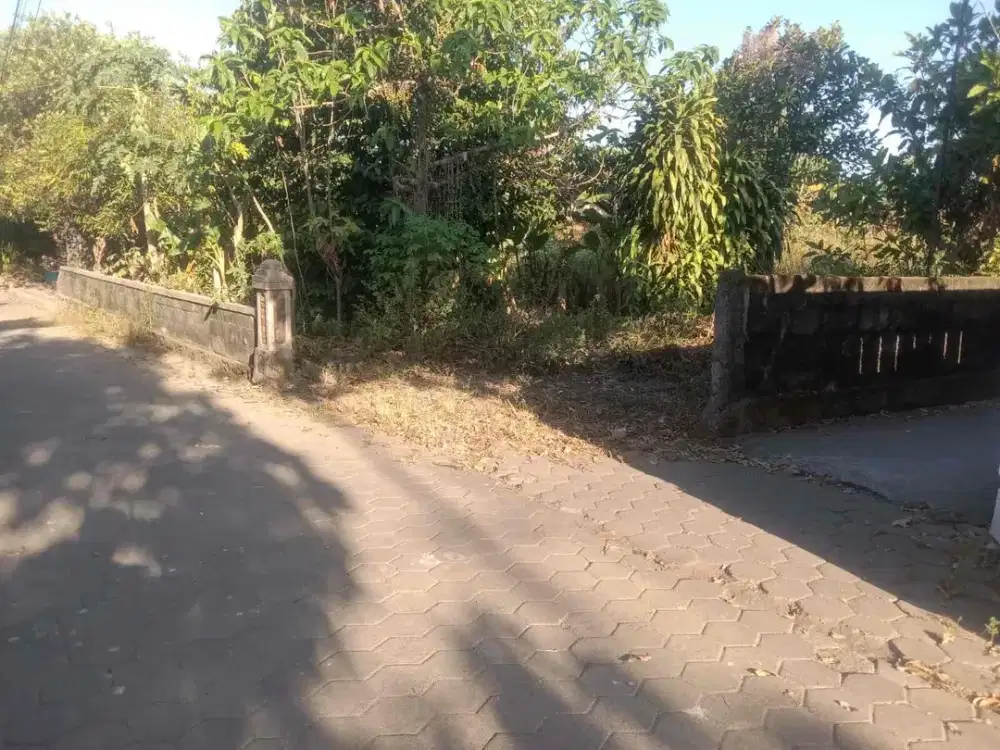 Dijual Tanah Pekarangan di Timur Cebongan Youth Centre