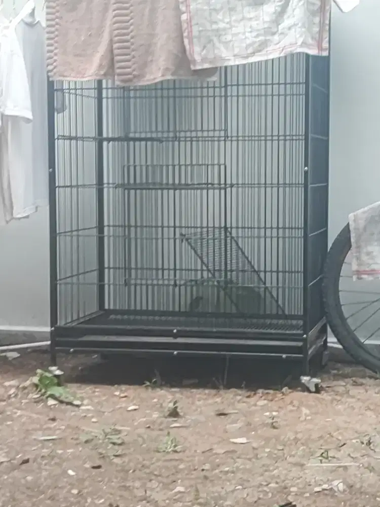 Jual kandang kucing