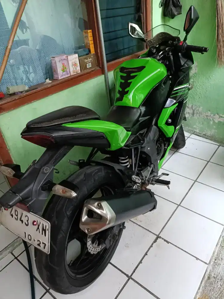 Kawasaki ninja RR mono 250 th 2014