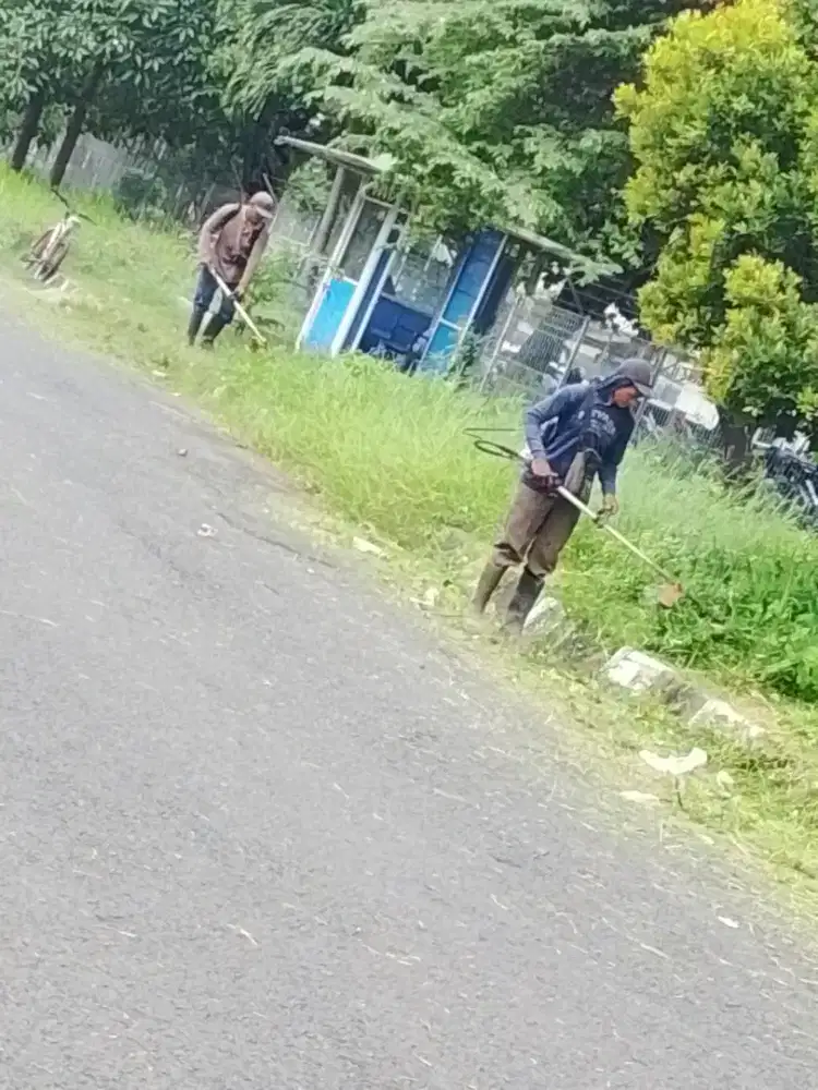Pangkas pohon & potong rumput