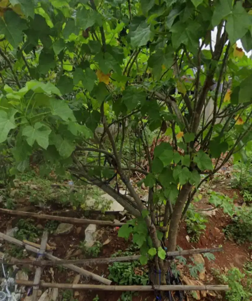 Tanah untuk 1 rumah