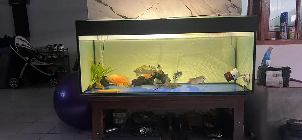 Aquarium full sabuk 120x50x50