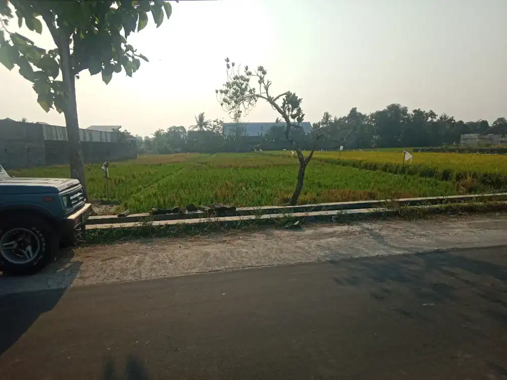 Dijual sawah 1770 m2