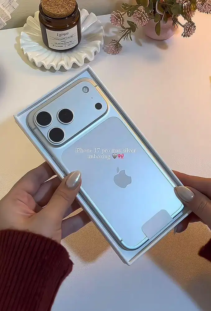 iPhone 17 Pro Max iBox