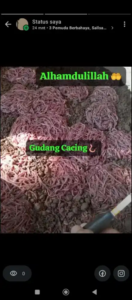 Pakan Ikan / Mancing