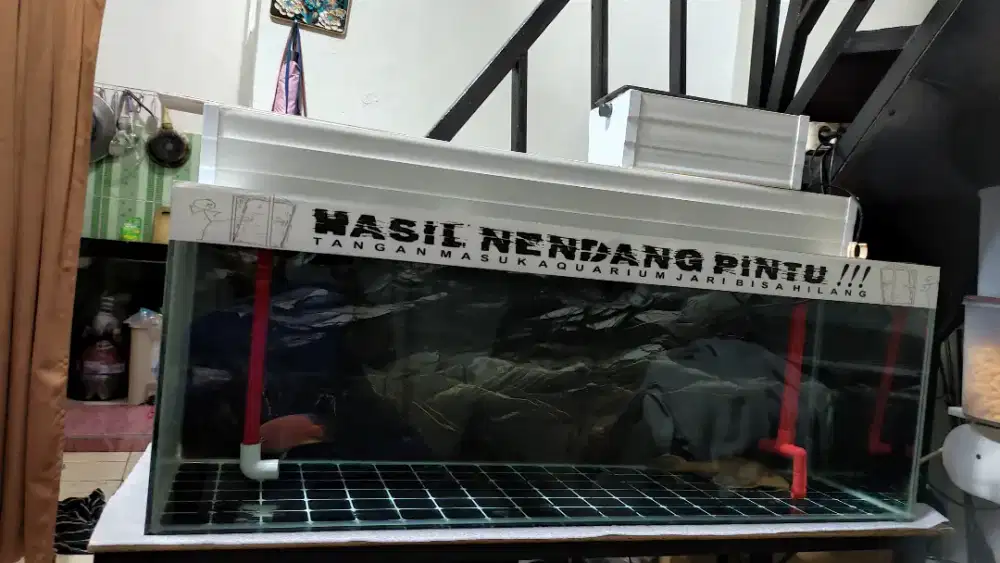 Aquarium 100x35x40 fulset