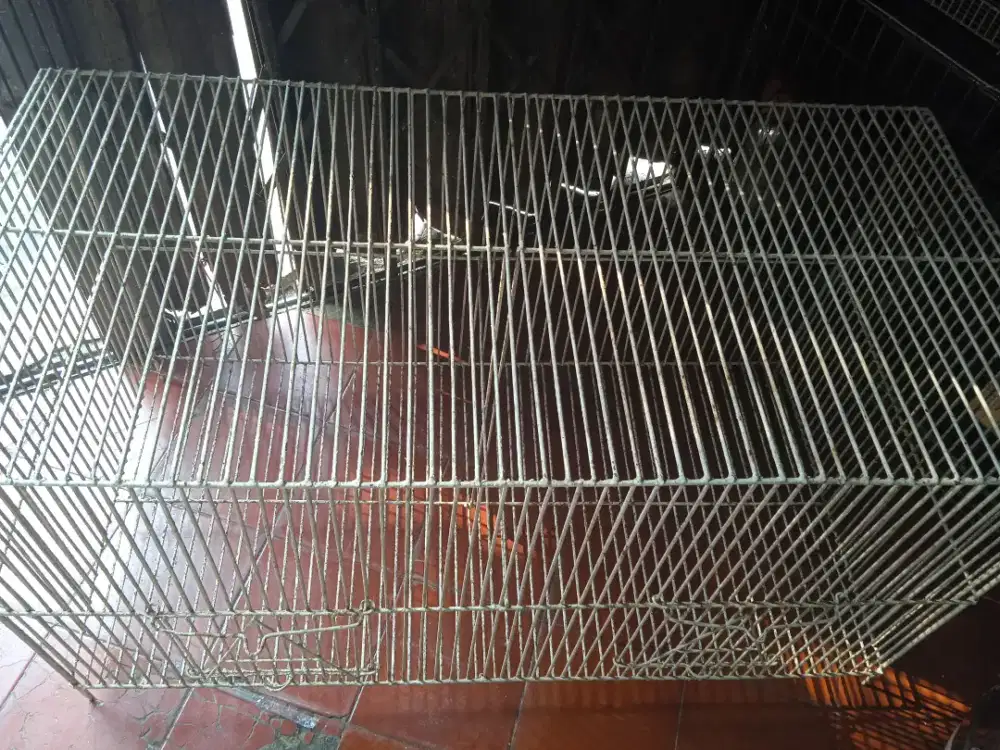 Kandang kucing besar dan tebal uk 100 x 50