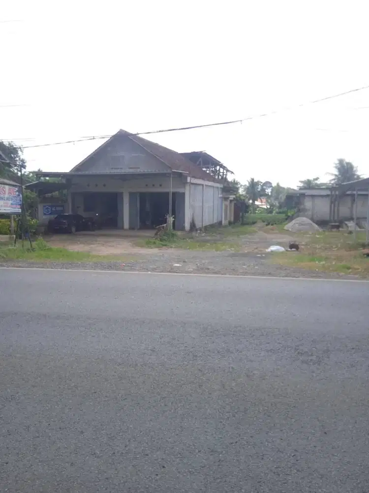 DIJUAL CEPAT TANAH DI LAMPUNG TIMUR 15.800M2!! NEGO SAMPAI DEAL!
