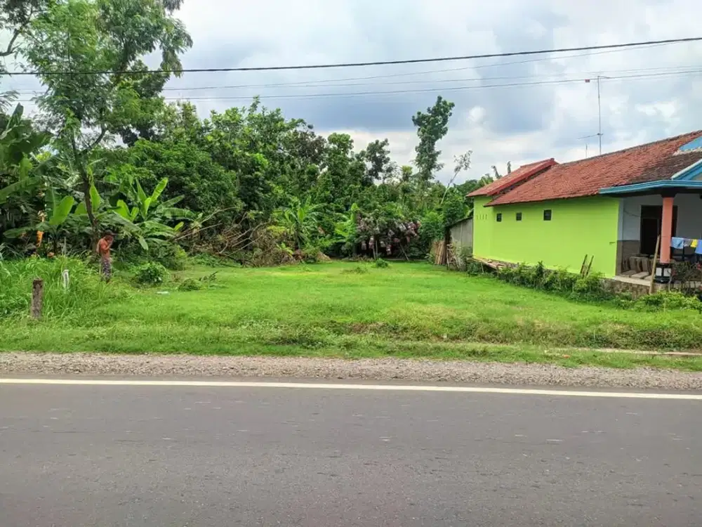Dijual Tanah Desa Janti Papar Sekoto, Harga Nego Sampai Jadi