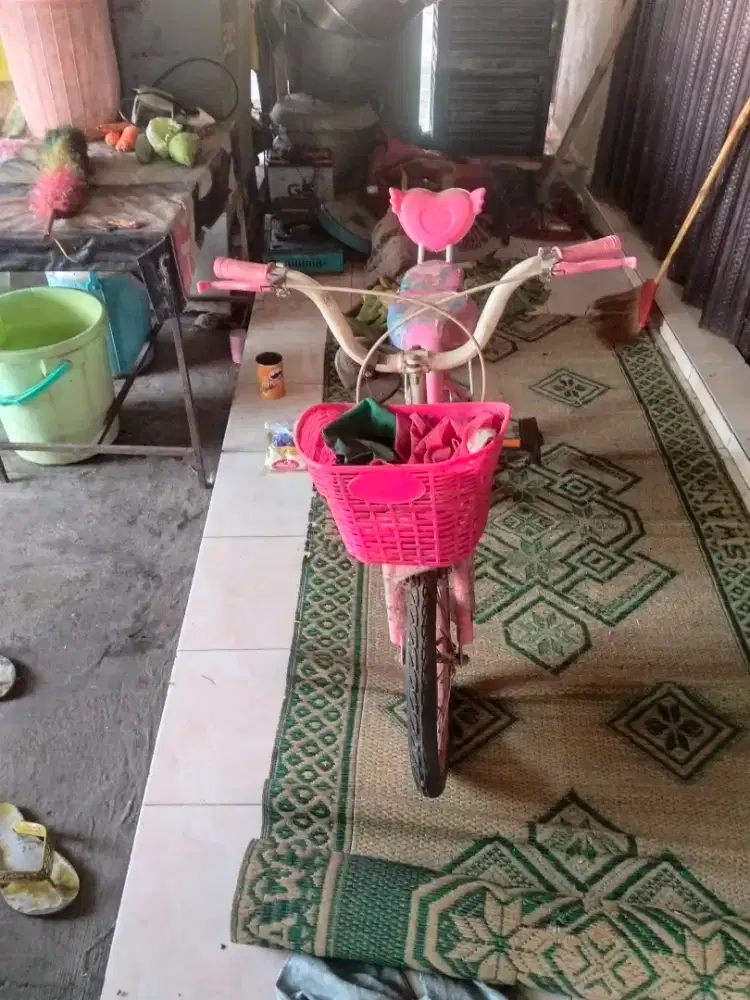 SEPEDA ANAK (nego)