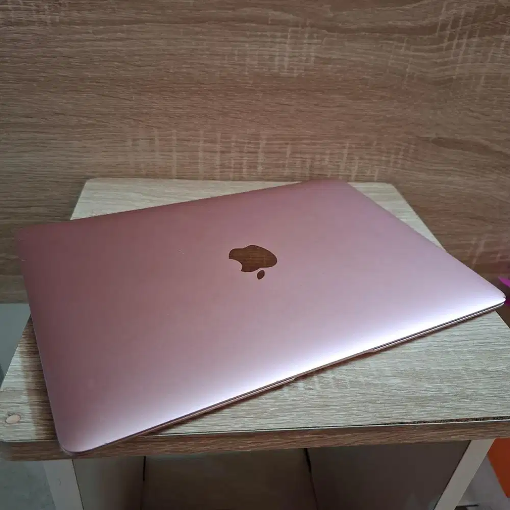 Macbook air retina 2017 (A1534)