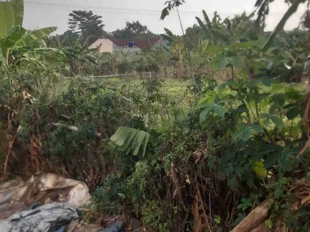Dijual lahan cocok buat perunahan