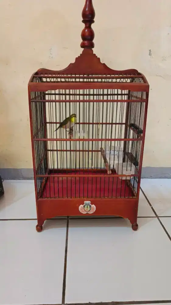 Kandang burcil + isinya montanus