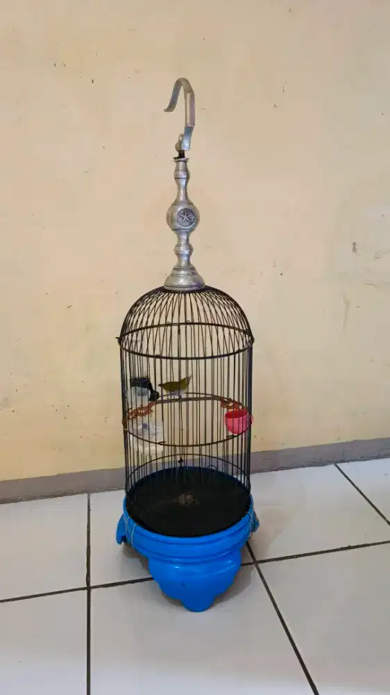 Kandang helopit + isinya buxto