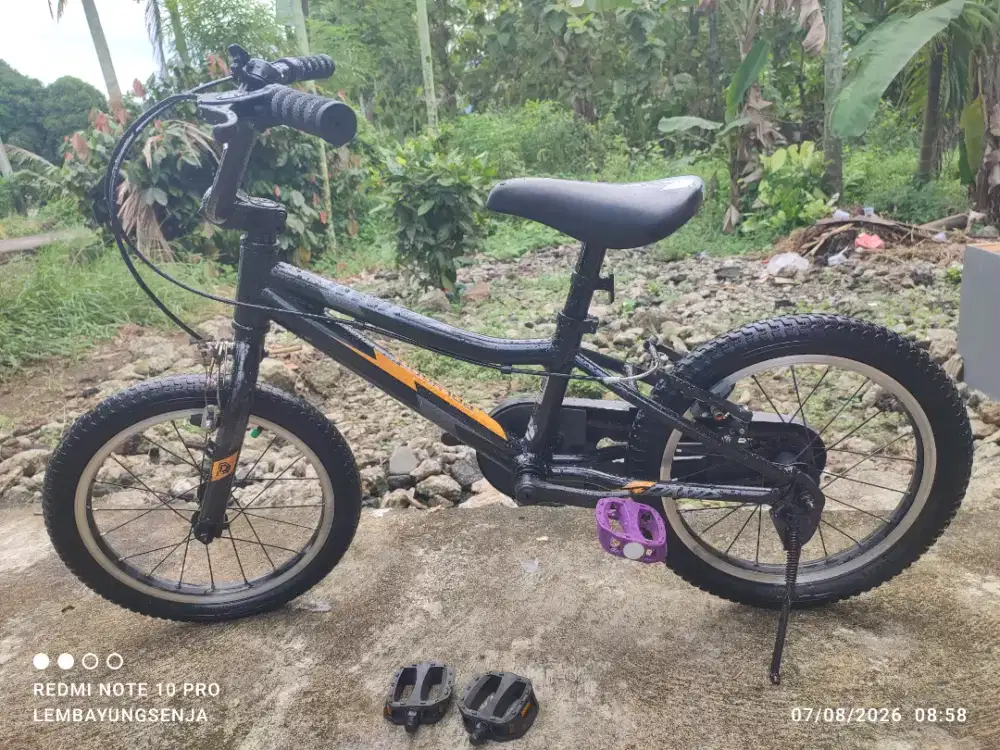 Sepeda anak Polygon