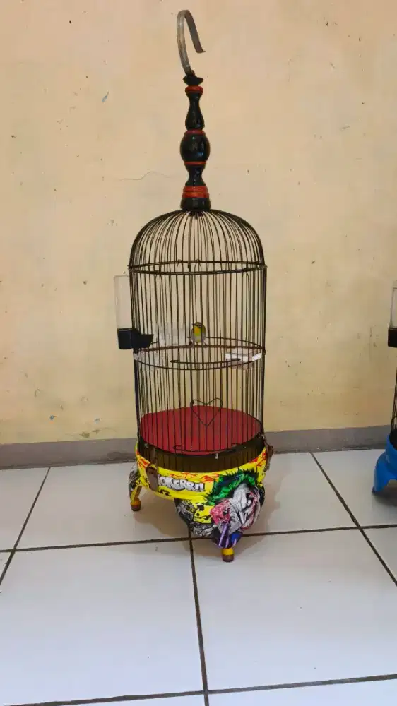 Kandang helopit + isinya buxto