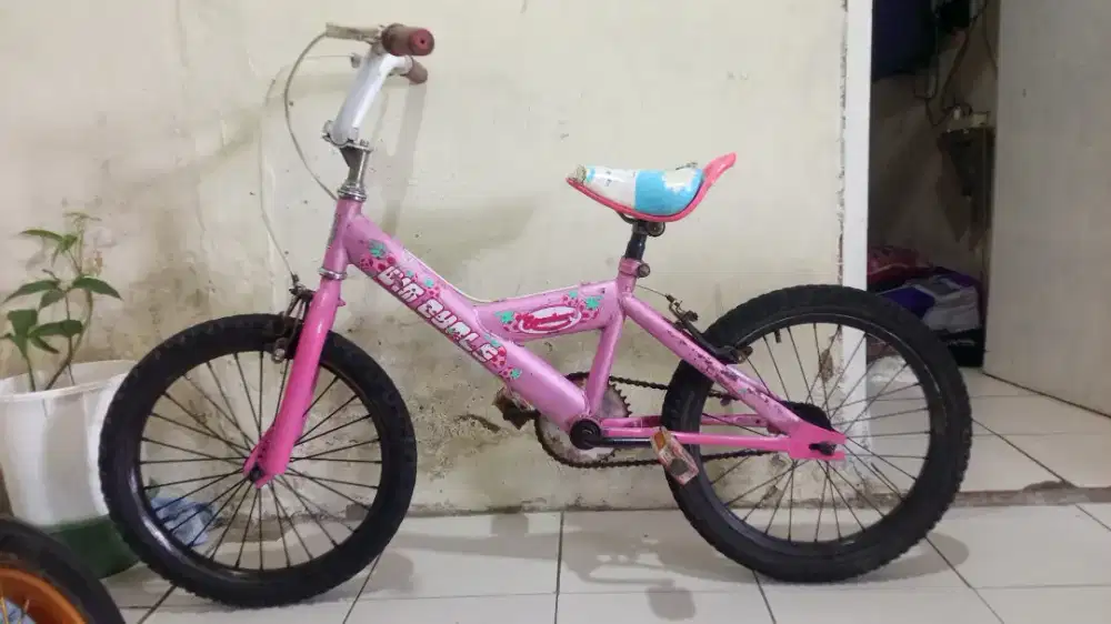 Sepeda wimcycle