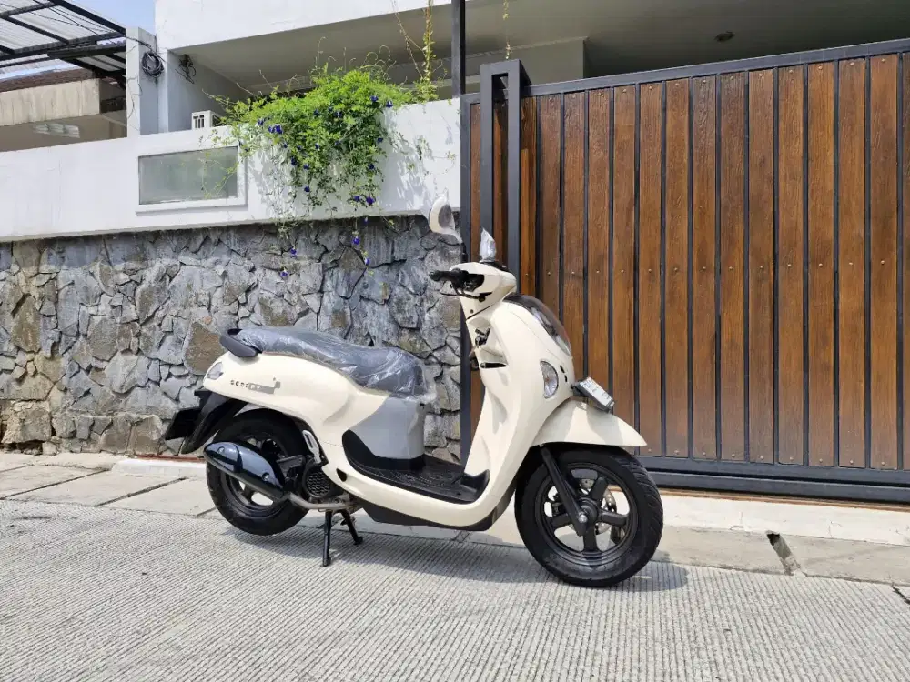 DP HANYA 999K AJA YUKK⁉️HONDA SCOOPY FASHION TH 2026