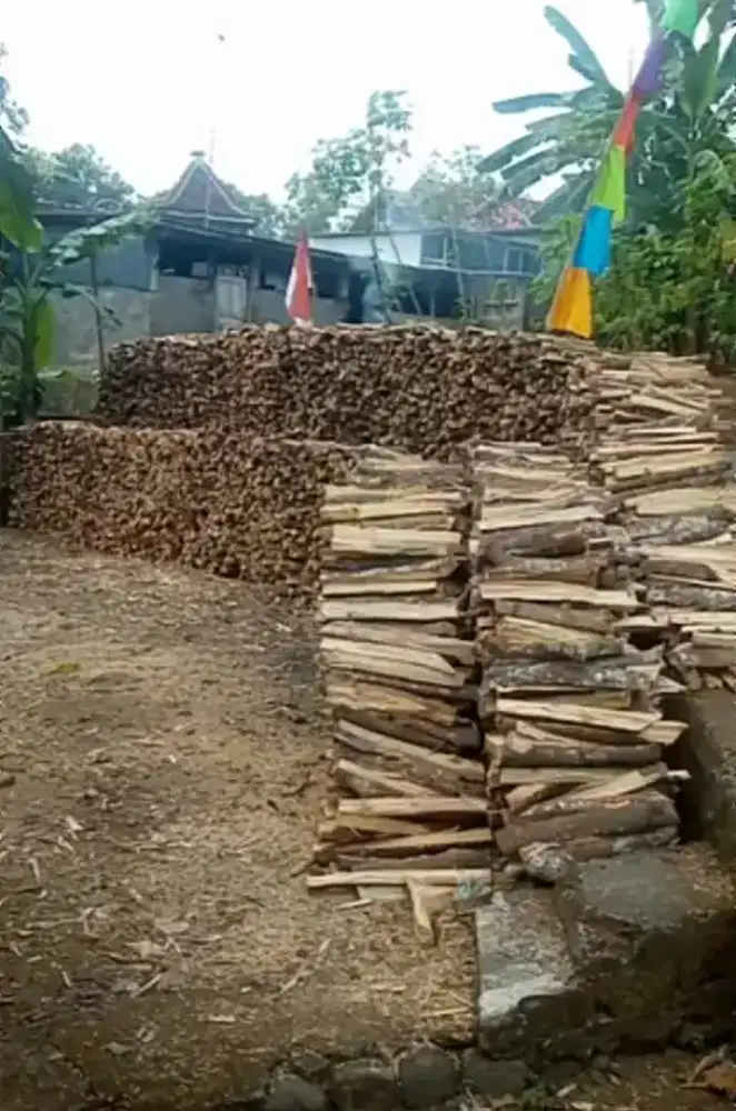 Kayu karet bakar