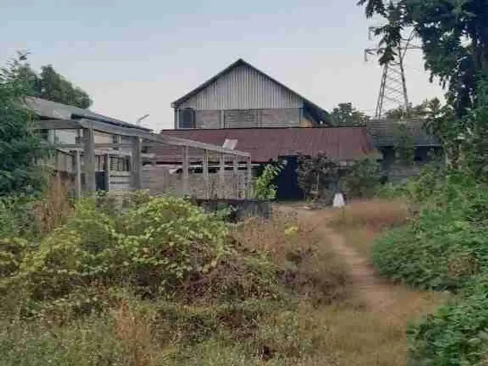 Lahan Kering Tepi Jalan Strategis Palur