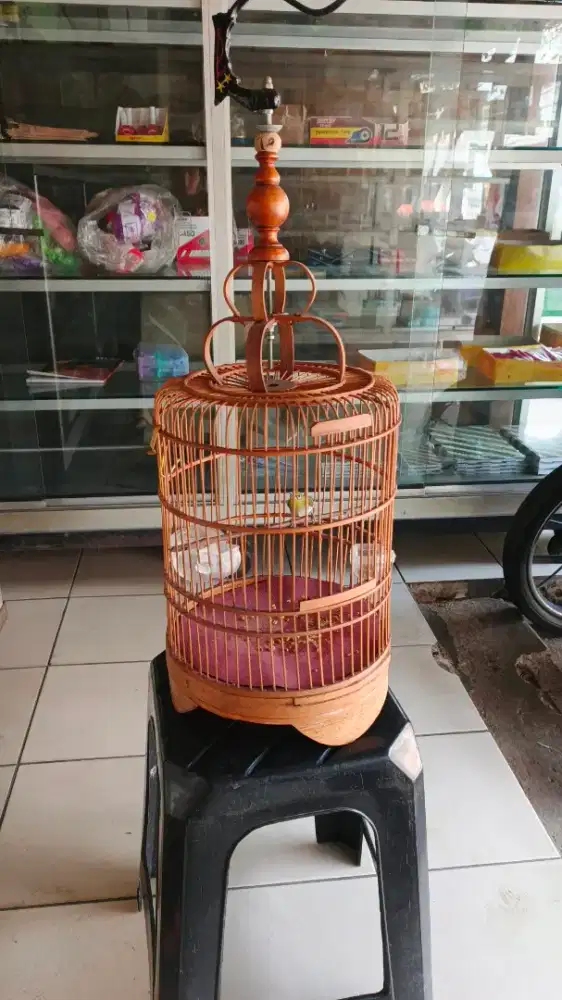 Kandang burcil + isinya buxto