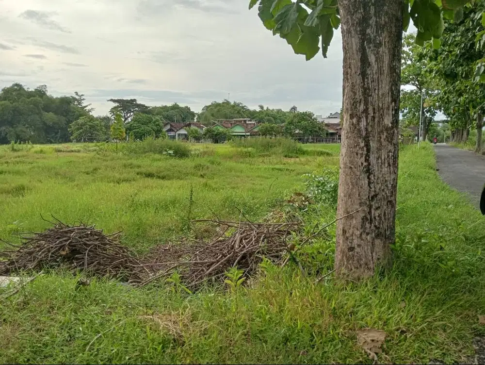 Dijual tanah strategis siap pakai di pinggir jalan ramai, Perumahan