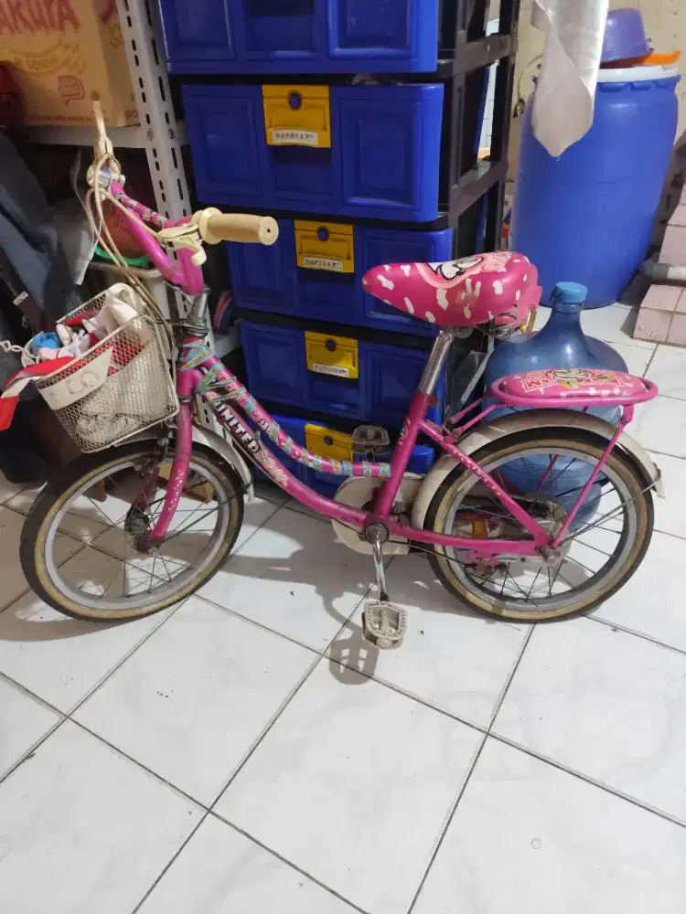 Sepeda anak cewek bekas