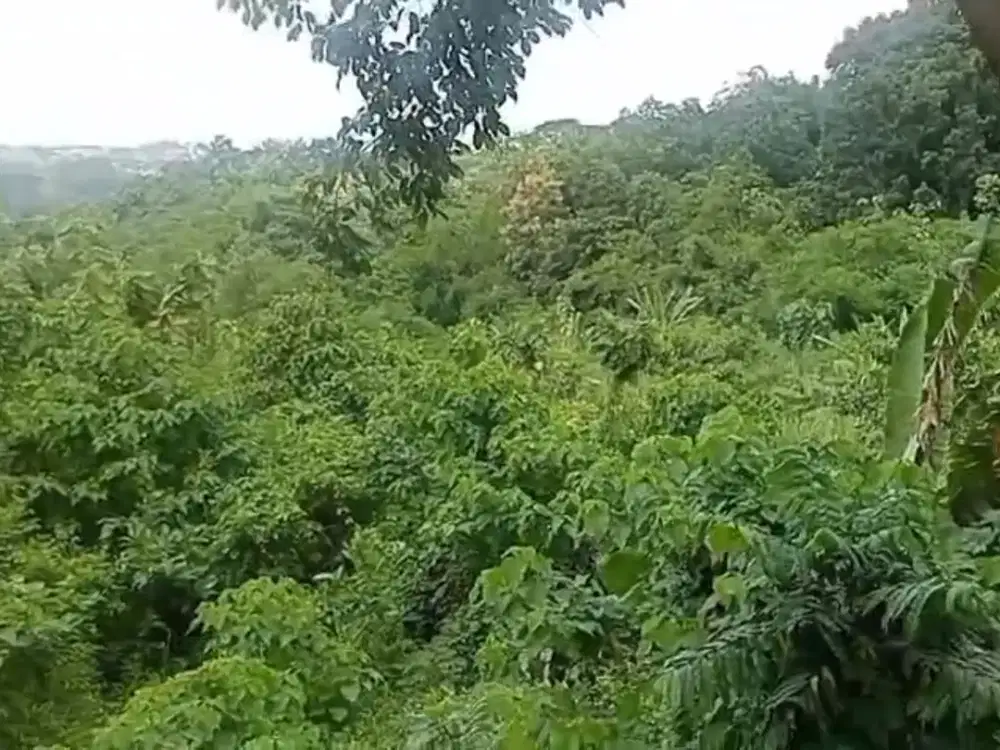 Jual Tanah Siap Bangun Daerah Sukorejo. Gunungpati, Semarang-11699