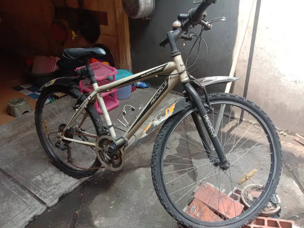 WIM Cycle RoadChamp S26. F16