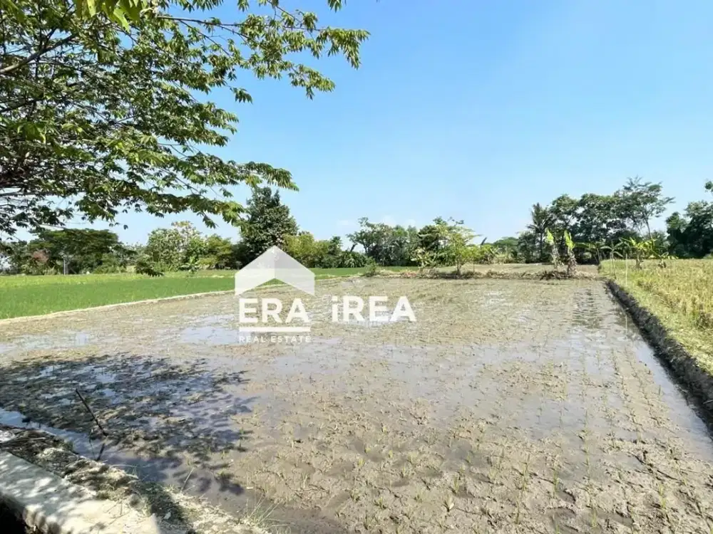 Tanah Murah Dijual di Klaten Dekat Wisata Air Ponggok