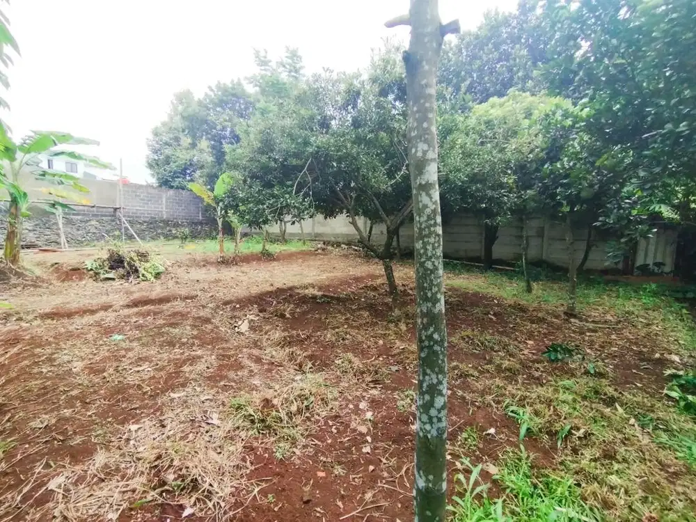 Tanah strategis pinggir jalan