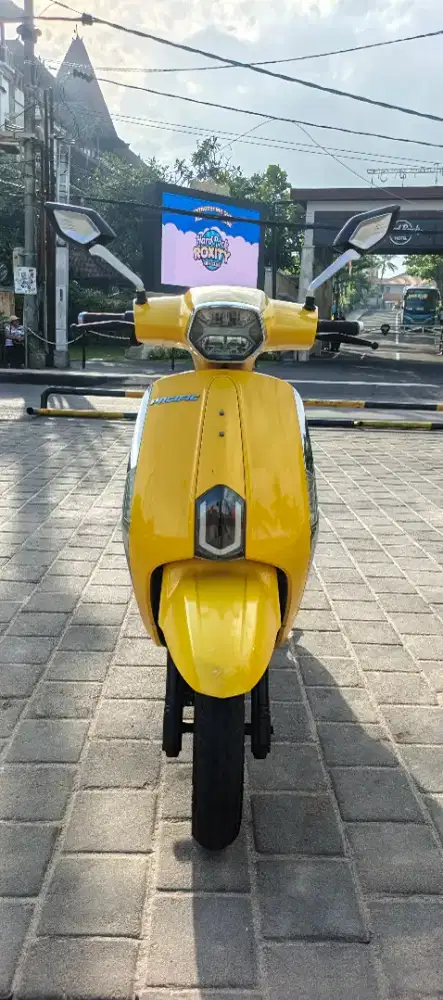 Molis pasific virgo 1.2