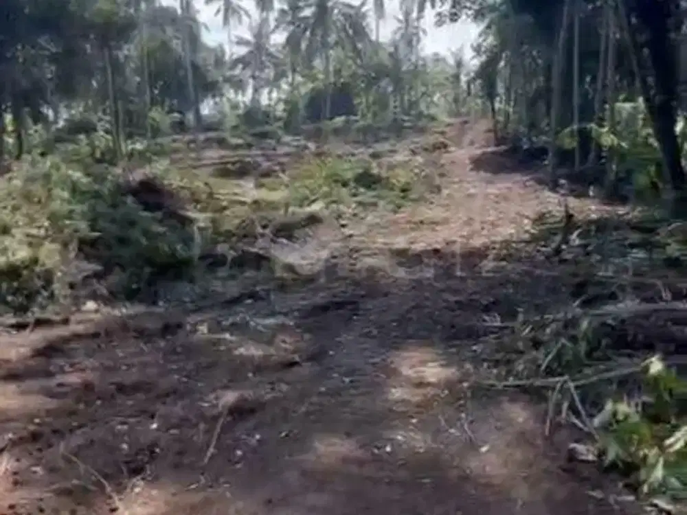 Kavling Impian Di Saba Gianyar View Jungle, Sungai & Sawah