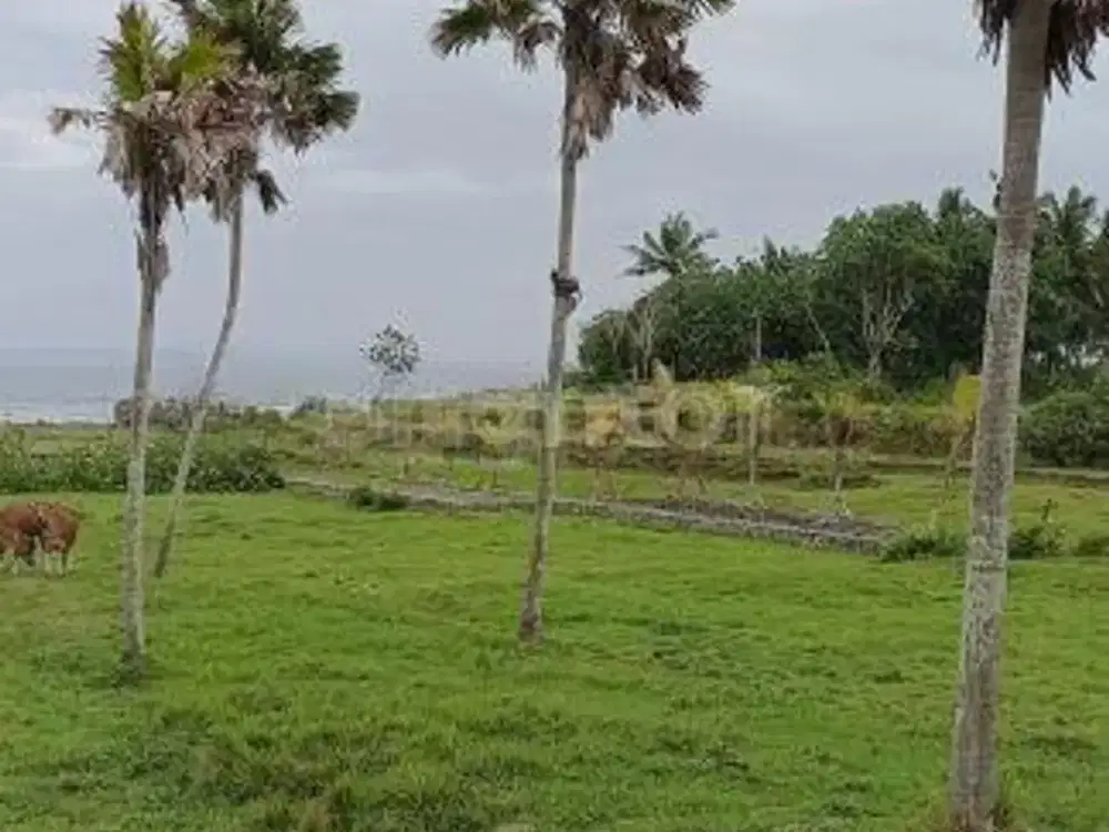 Tanah Cantik Tepi Pantai 5 Are Di Yeh Sumbul Negara