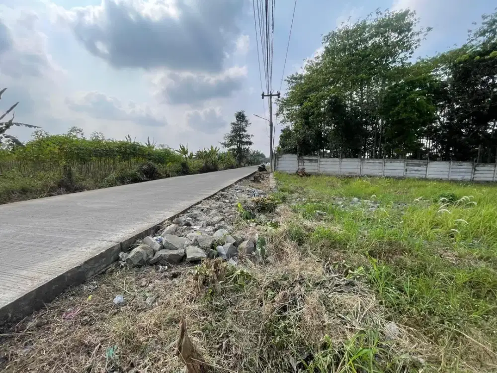 Tanah Cisauk Termurah Dekat Stasiun baru Jatake - SHM - Pinggir Jalan - 10 Menit Tol Legok