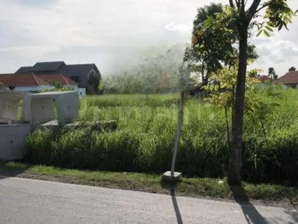 Tanah Sewa Luas jangka Panjang Di Pinggir Jalan Canggu
