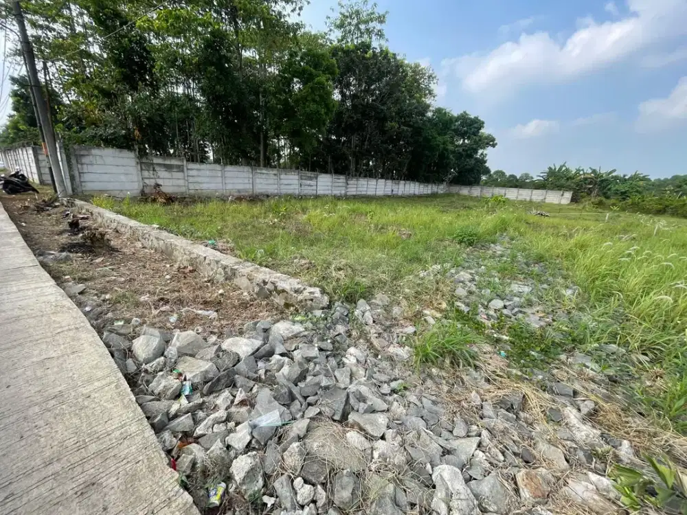 Miliki Tanah Cisauk Pinggir Jalan Termurah Dekat Stasiun baru Jatake - SHM - 10 Menit Tol Legok