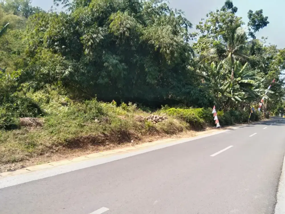 Di jual tanah pinggir jalan kabupaten krendetan