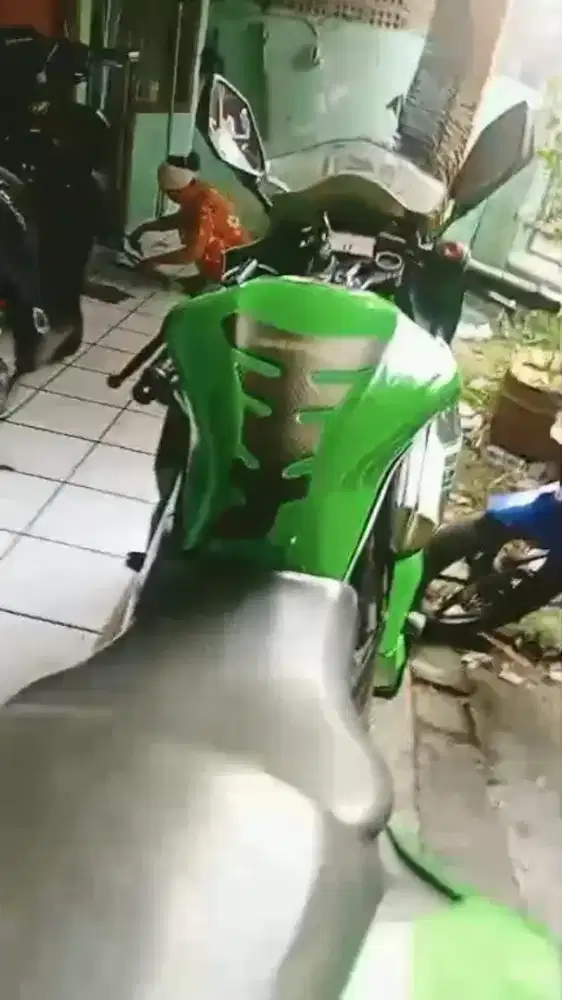 NINJA MONO 250 2014
