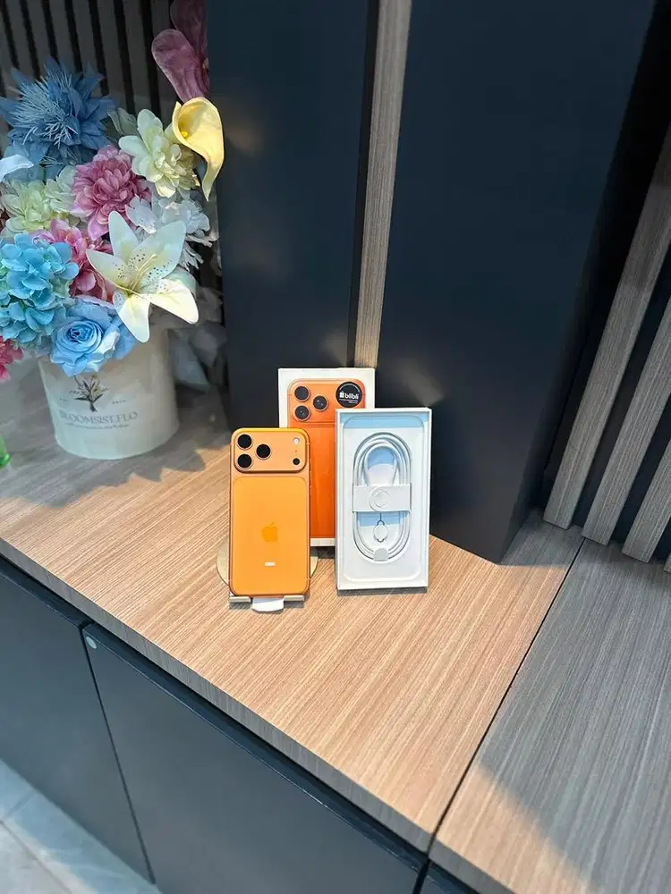 iPhone 17 Promax BNOB Garansi belum On