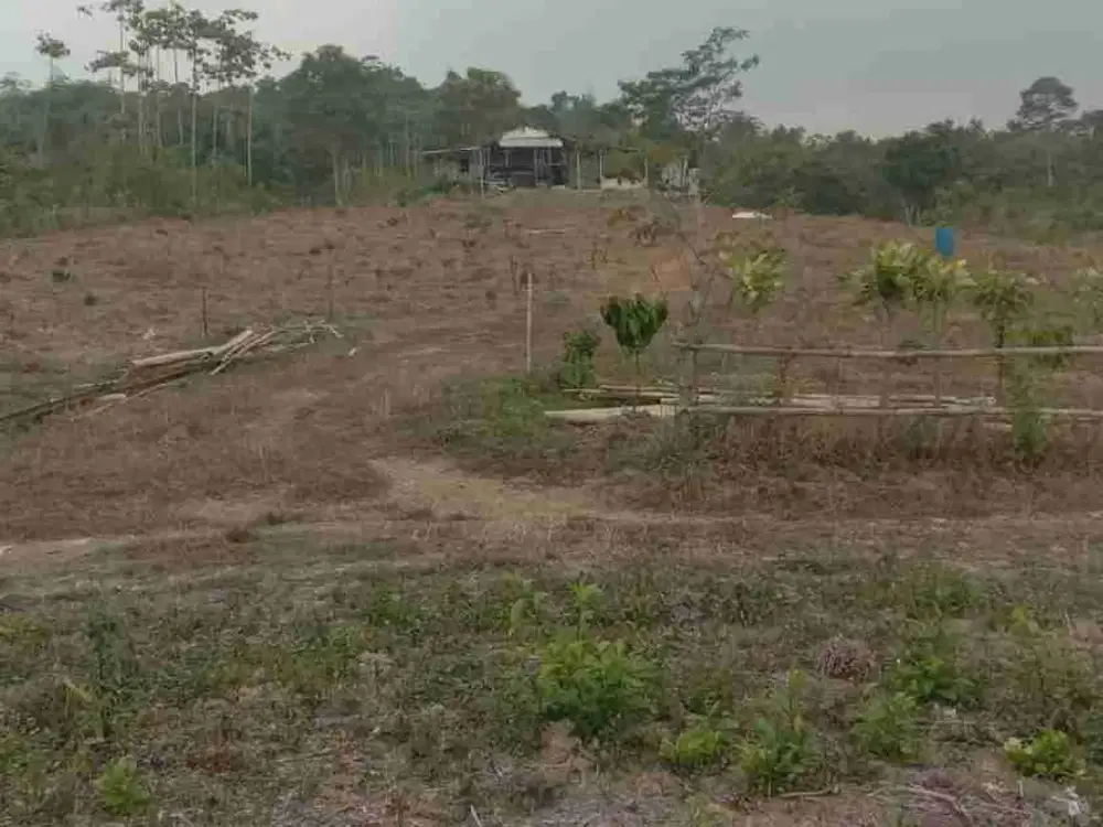 DI JUAL TANAH MURAH HARGA 40 RIBU PER METER.SANGAT COCOK UNTUK PERTANIAN PERKEBUNAN DAN YAYASAN PENDIDIKAN