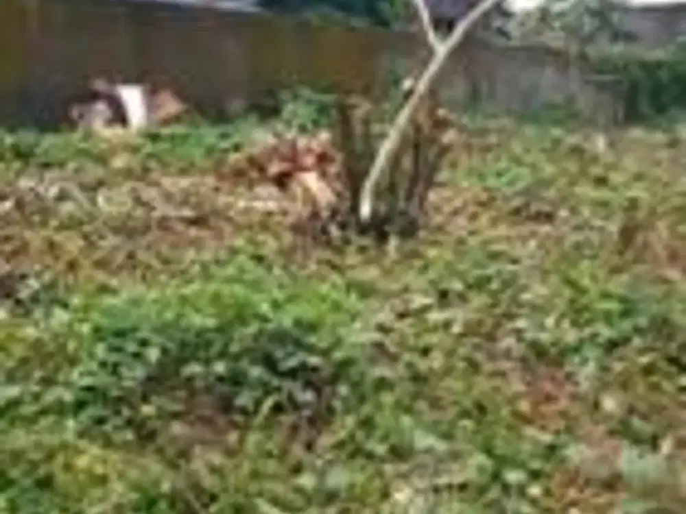 Dijual Tanah Makassar Sekitar Jalan Tidung Raya, Jl Tamalate, Jl Skarda N