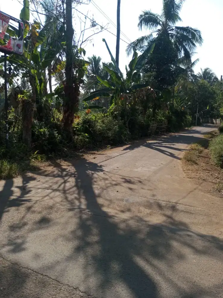 Di jual lhan tanah darat lt 9600 MTR ss AJB lokasi pinggiir jln desa
